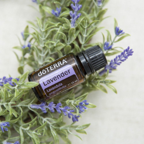 Lavender 15 ml Lavender 15 ml