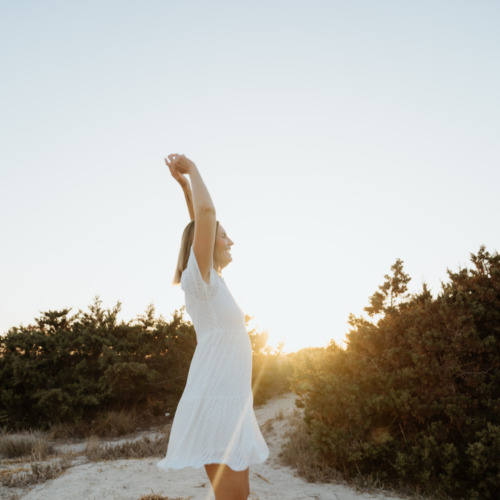 Manifestation Power Workshop - Aufzeichnung und Präsentation