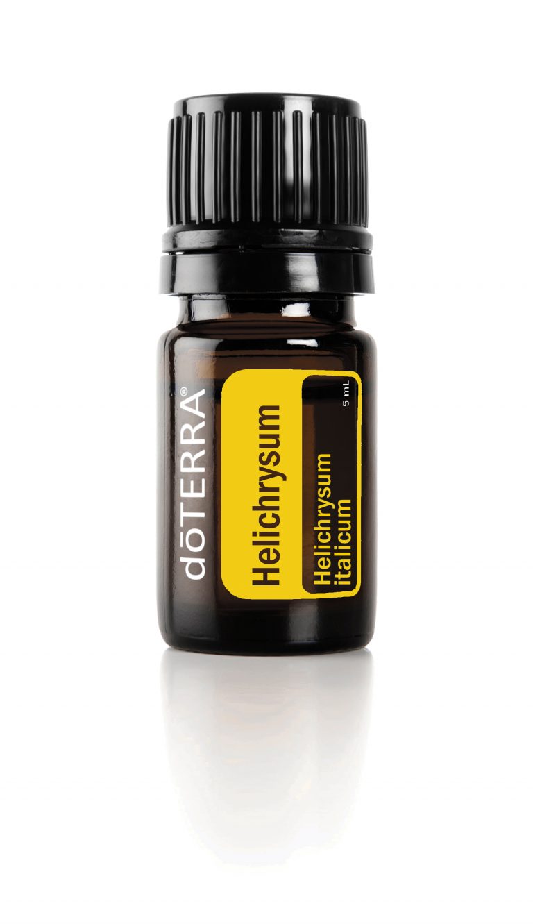 Helichrysum