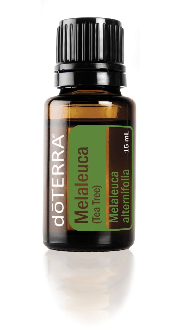 doterra teebaum