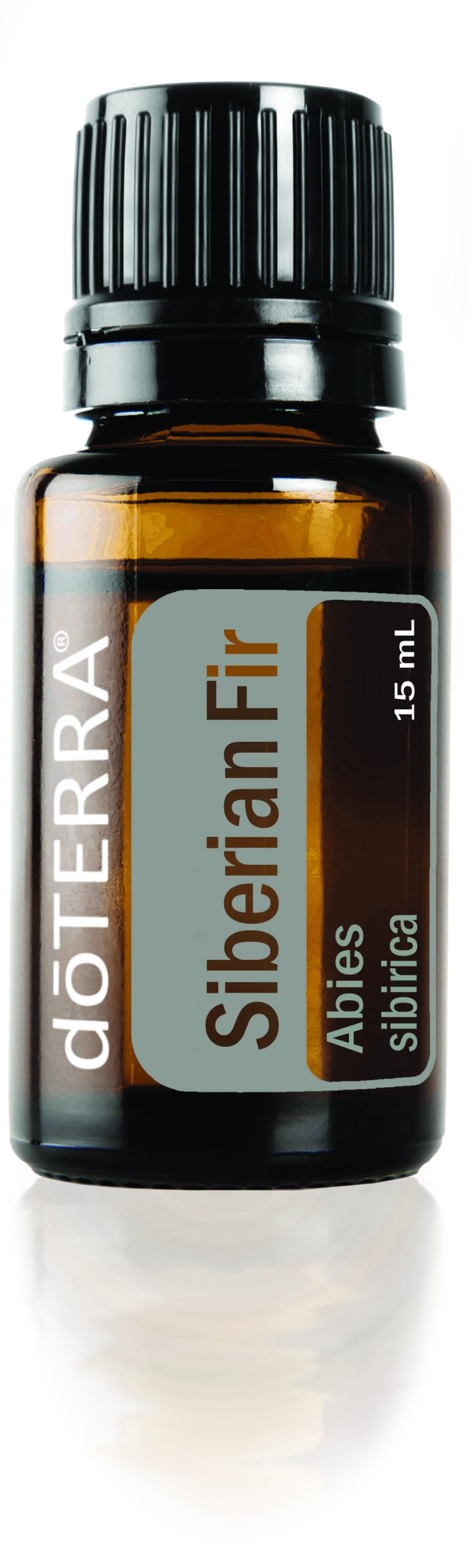 doterra sibirische tanne